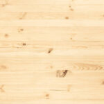 Pinus